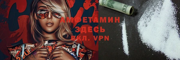 стаф Ельня