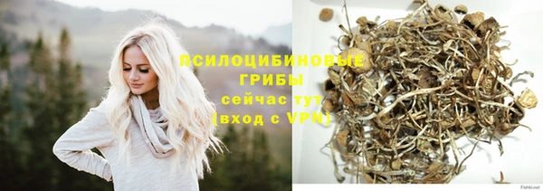 соль ск Заволжск