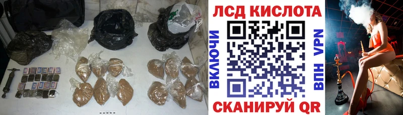 Лсд 25 экстази ecstasy  купить наркотики цена  Новоузенск 