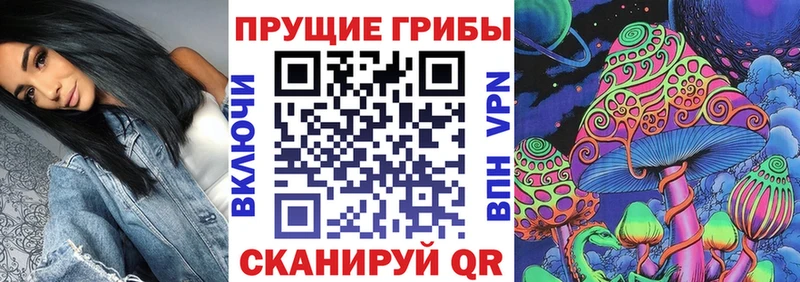 мега сайт  наркошоп  Новоузенск  Галлюциногенные грибы мухоморы 